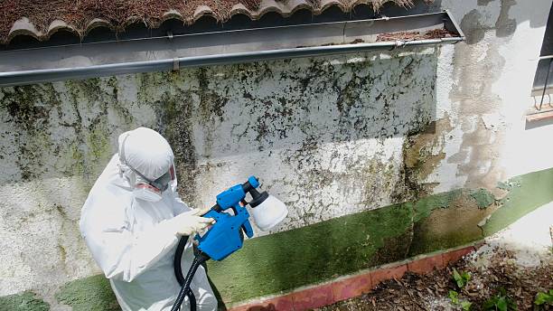 Mold Remediation service in Summerhill, Summerhill, PA